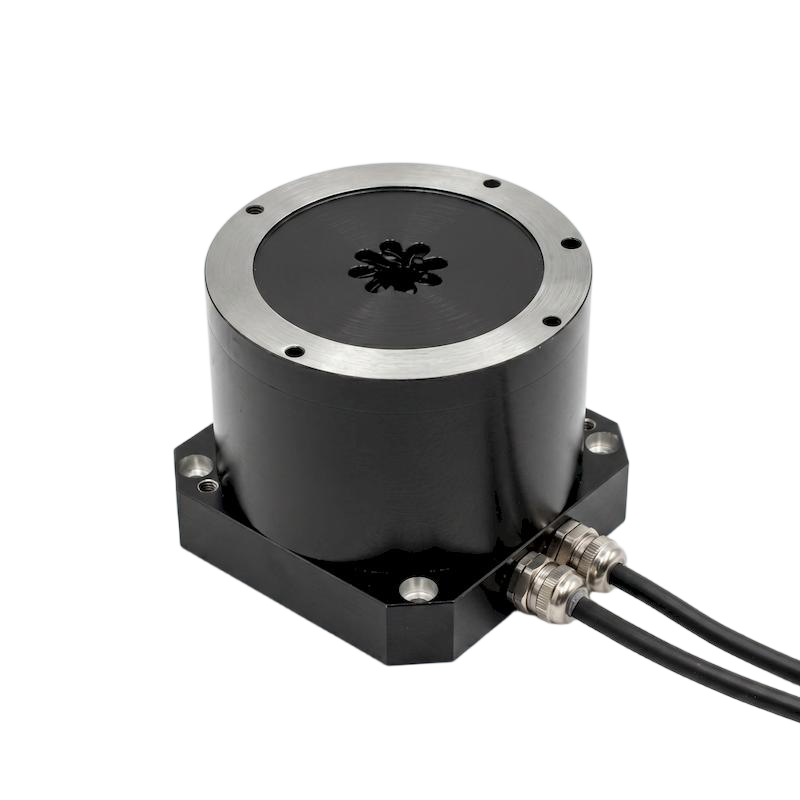 TPA Rotary Motors